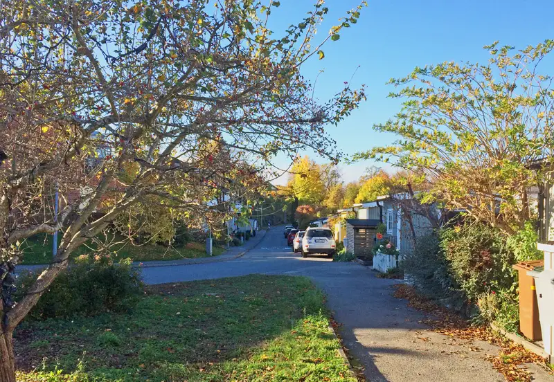 Blynäsvägen i oktoberljus, med gula lövträd längs gatan.