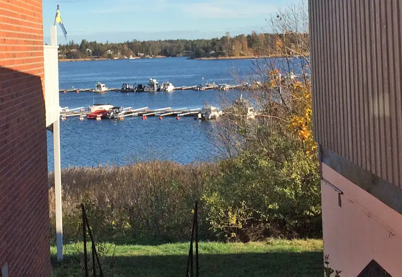 Gångvägen upp genom området en höstdag, med löv på marken.