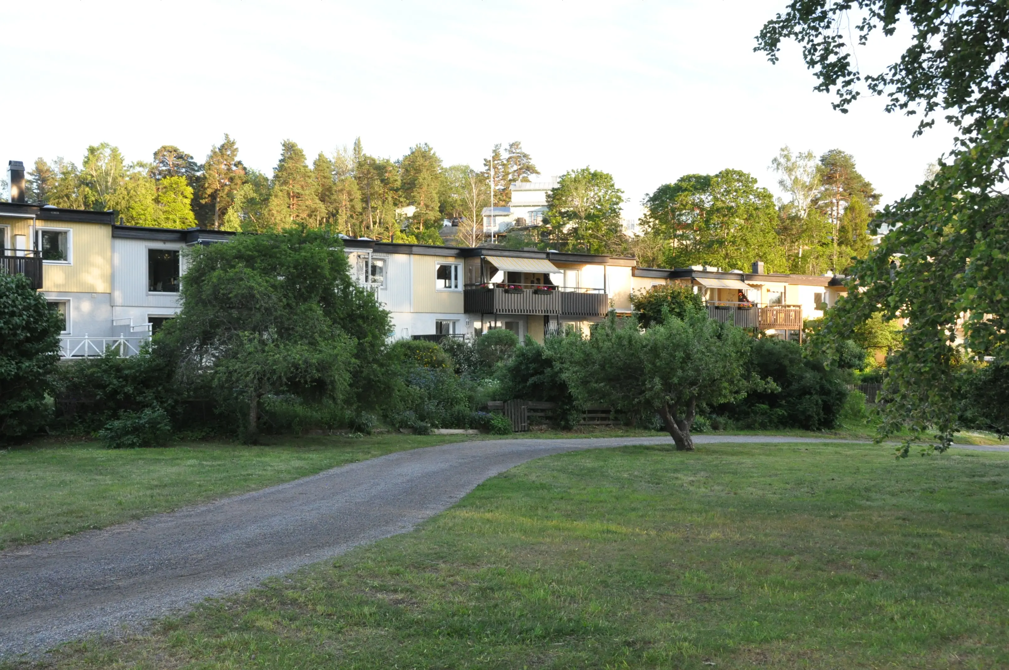 Radhuslängan sedd över gräsytan från Blynäsparken i kvällsljus.